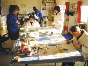 l-arche-le-seneve-projet-accueil-handicap-mental