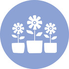 activités ESAT de L'Arche horticulture
